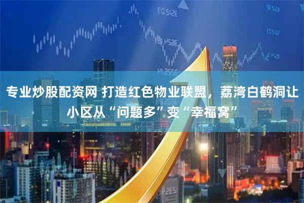 专业炒股配资网 打造红色物业联盟，荔湾白鹤洞让小区从“问题多”变“幸福窝”